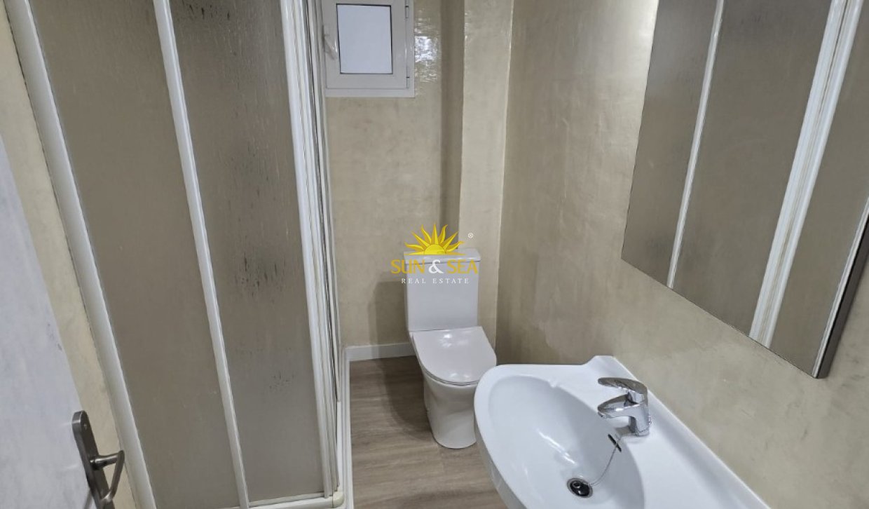 Alquiler de invierno - Apartamento - Elche