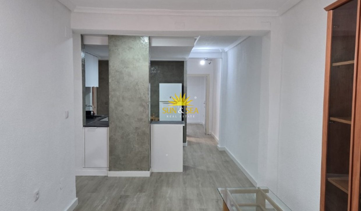 Alquiler de invierno - Apartamento - Elche