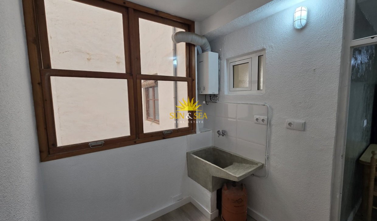 Alquiler de invierno - Apartamento - Elche