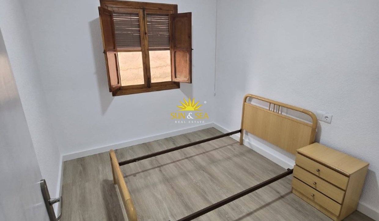 Alquiler de invierno - Apartamento - Elche