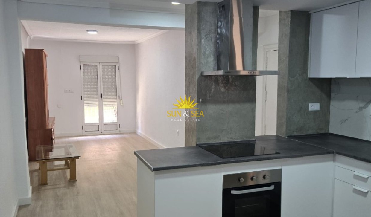 Alquiler de invierno - Apartamento - Elche