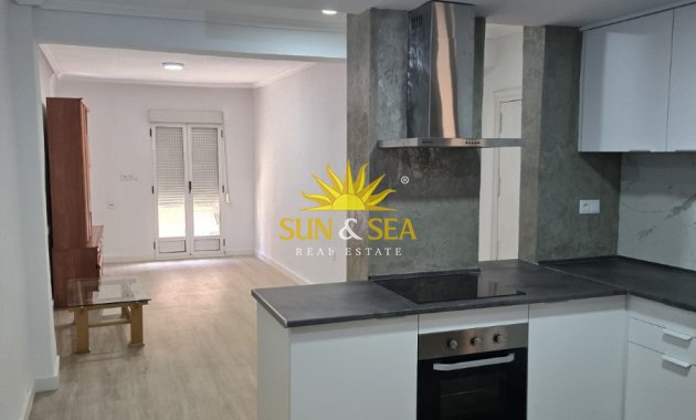 Alquiler de invierno - Apartamento - Elche