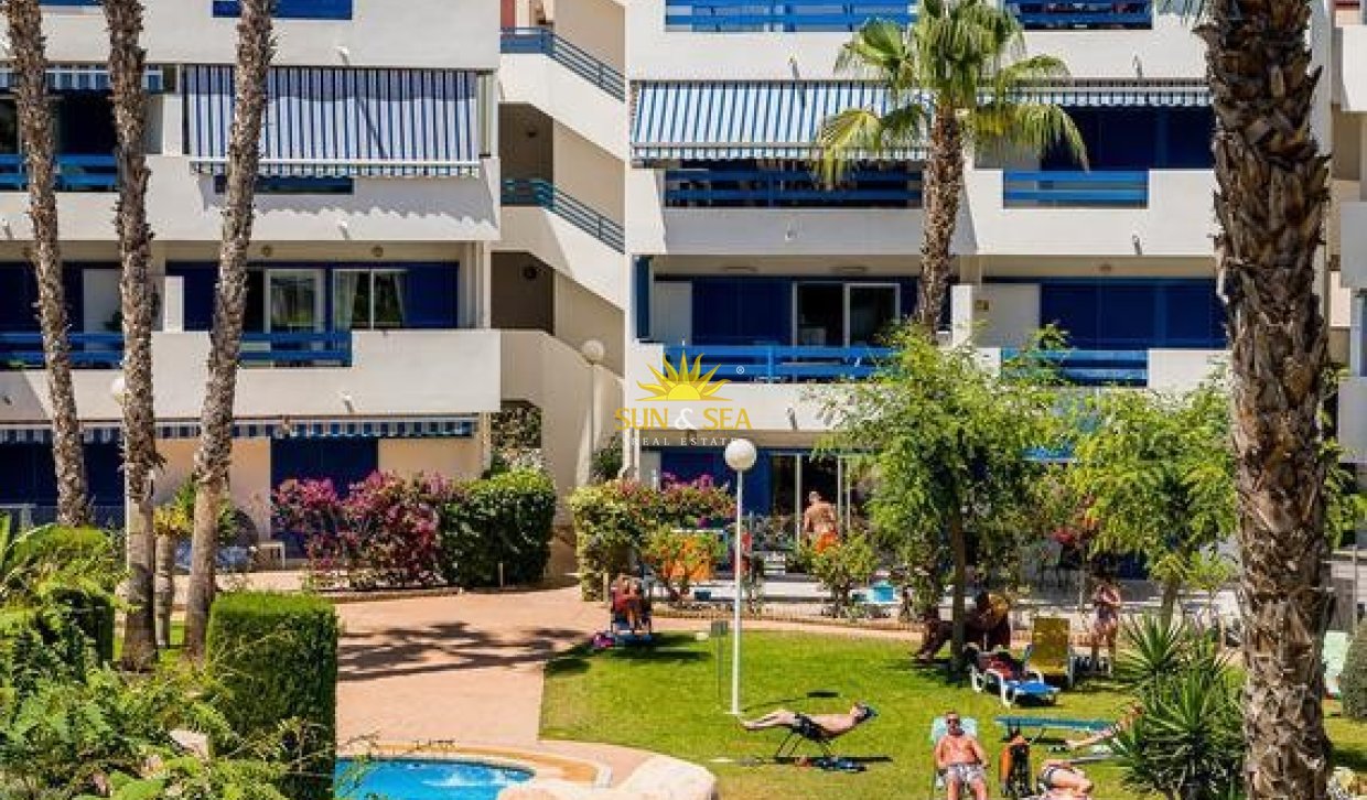 Winter rental - Apartment - Orihuela Costa
