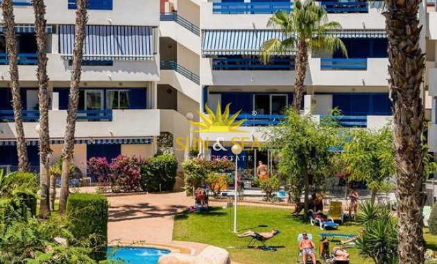 Winter rental - Apartment - Orihuela Costa