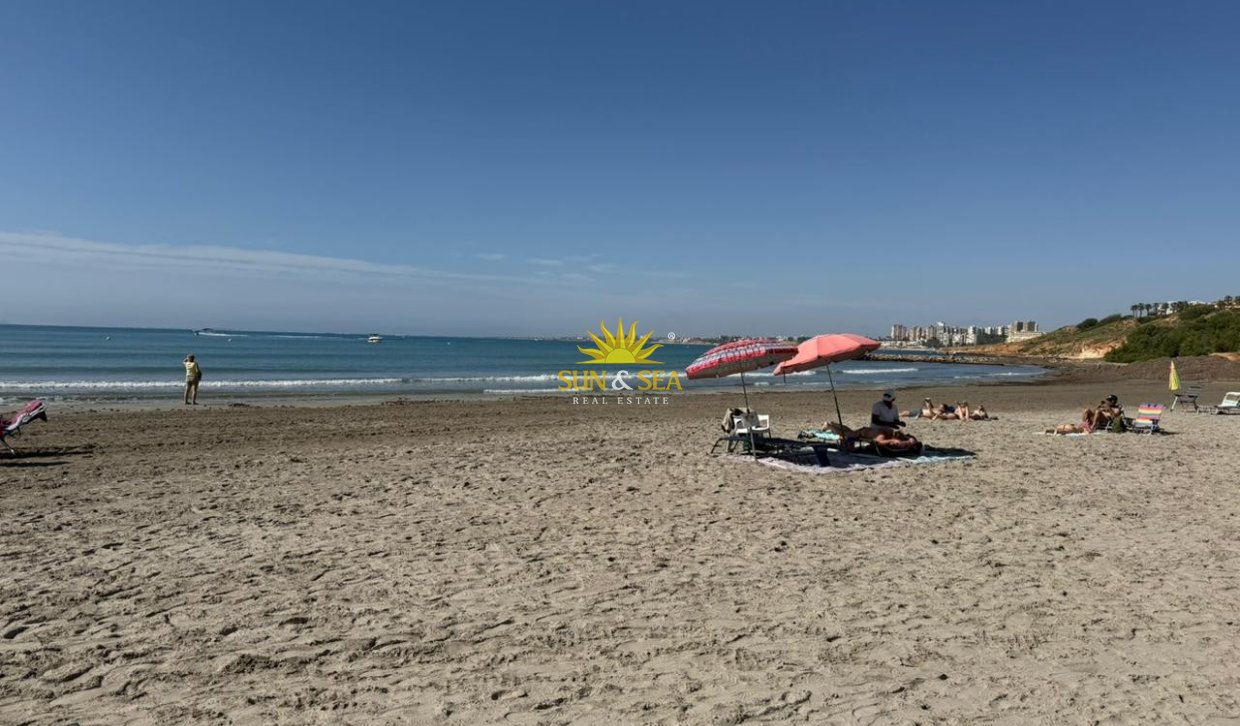 Winter rental - Apartment - Orihuela Costa