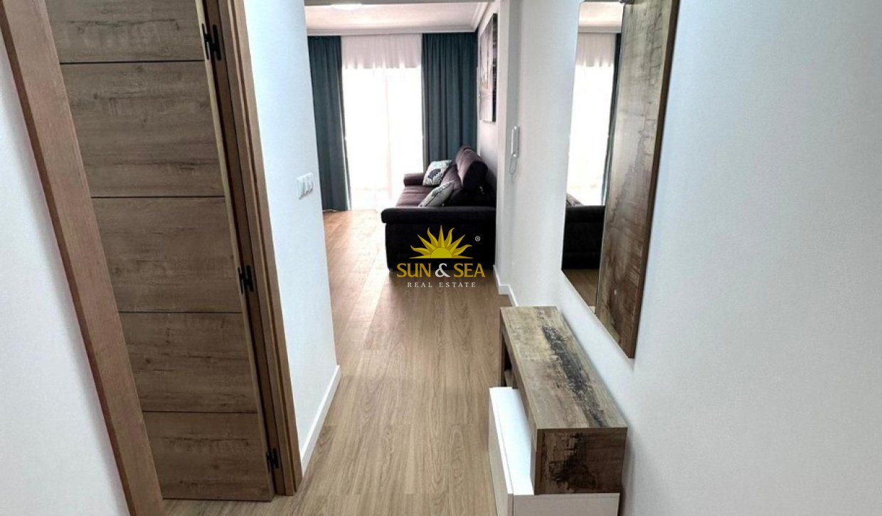 Winter rental - Apartment - Torrevieja - torrevieja
