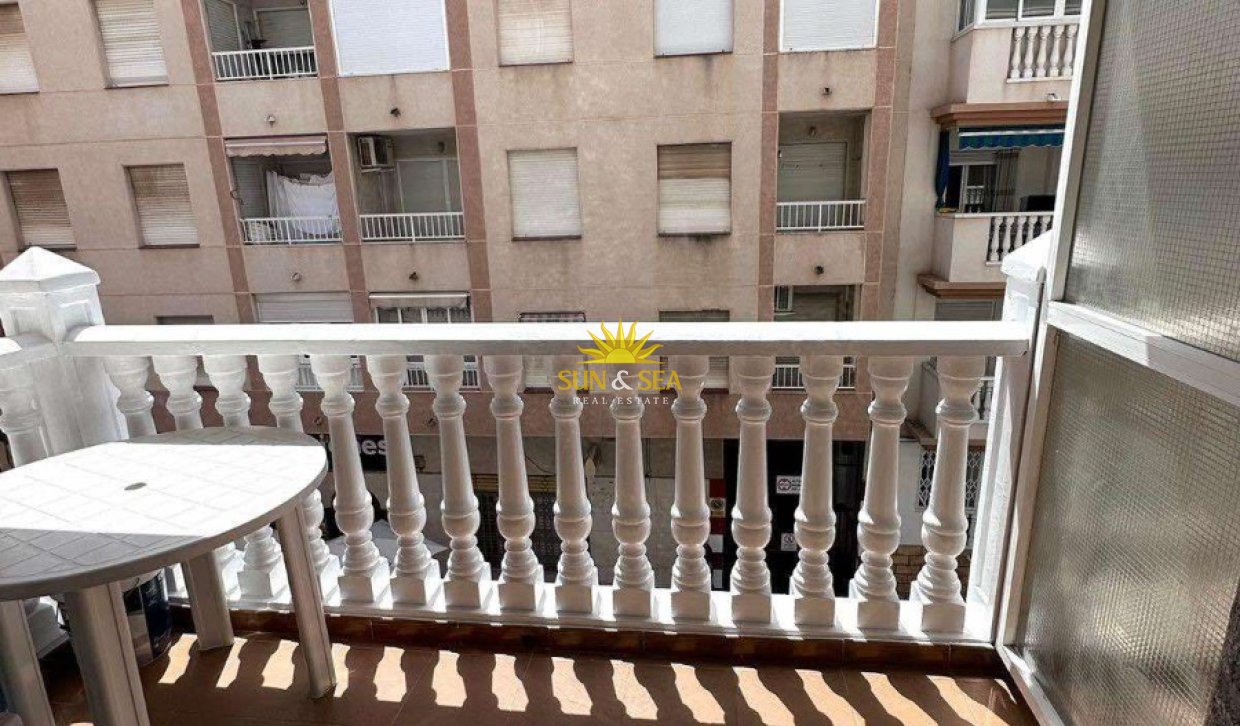 Winter rental - Apartment - Torrevieja - torrevieja