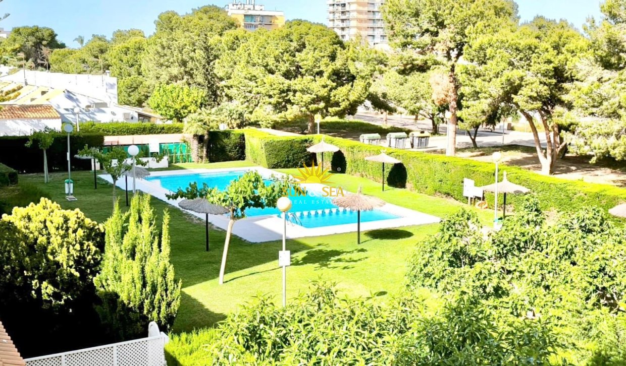 Winter rental - Apartment - Cartagena - Mar de Cristal