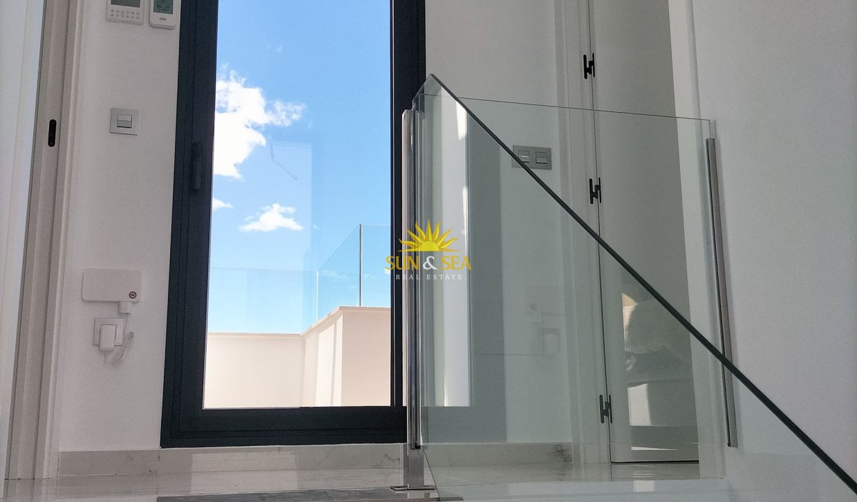 Nouvelle construction - detached - Pilar de la Horadada