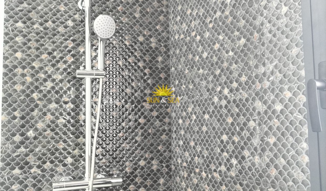 Nouvelle construction - detached - Pilar de la Horadada