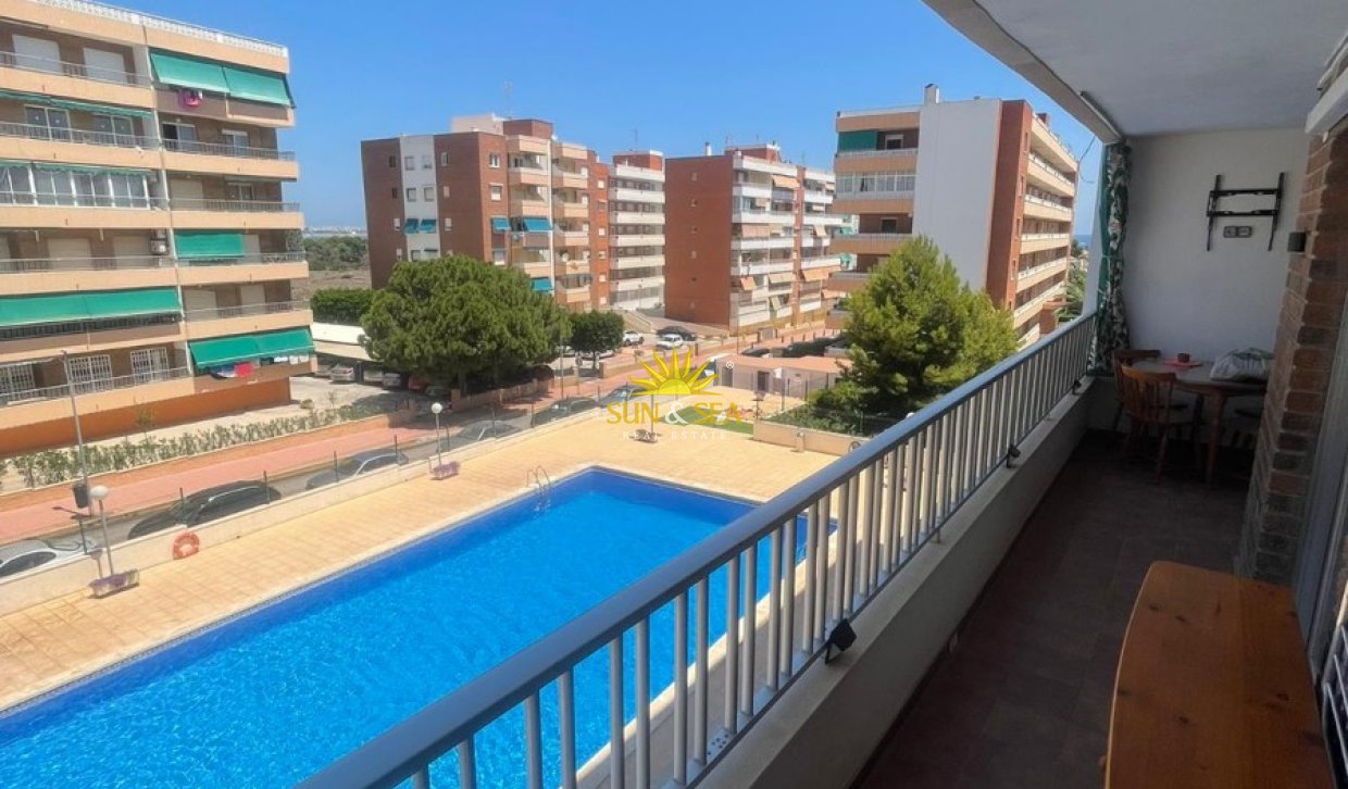 Alquiler a largo plazo - Apartamento - Torrevieja - Punta prima