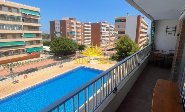 Alquiler a largo plazo - Apartamento - Torrevieja - Punta prima