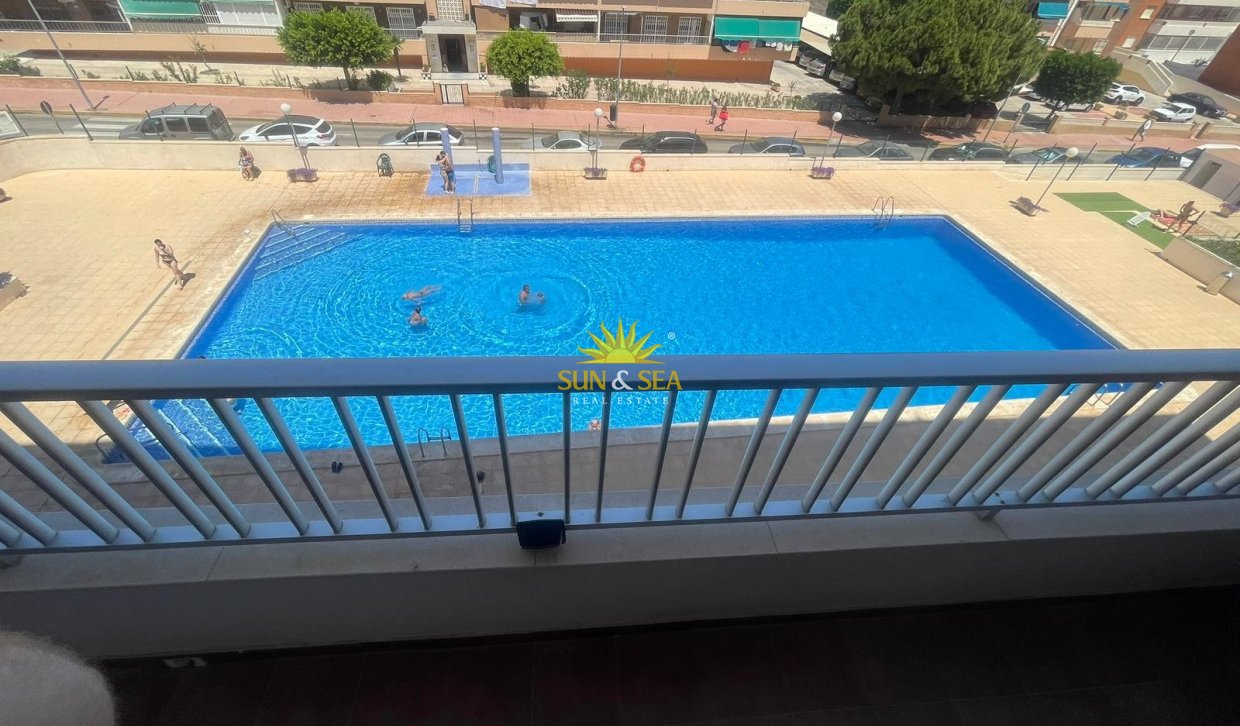 Alquiler a largo plazo - Apartamento - Torrevieja - Punta prima