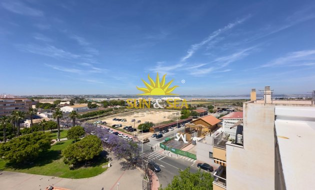 Revente - Appartement - Torrevieja - Acequion