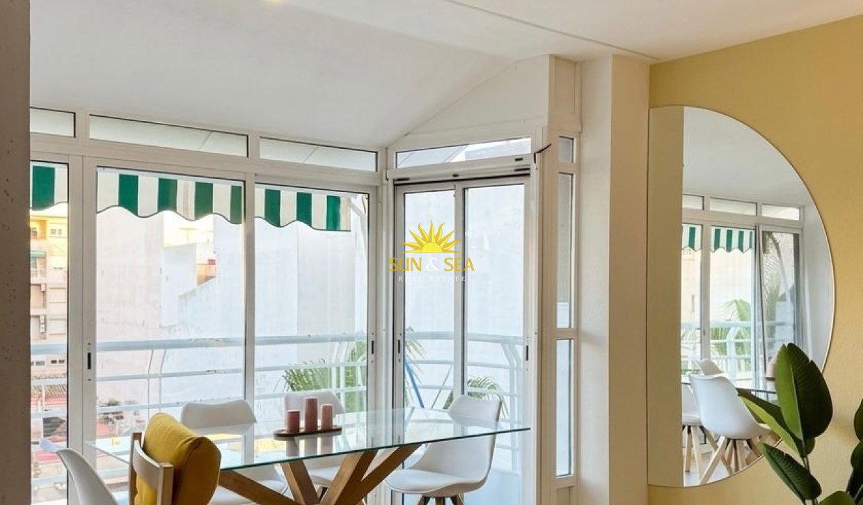 Alquiler de invierno - Apartamento - Torrevieja - torrevieja