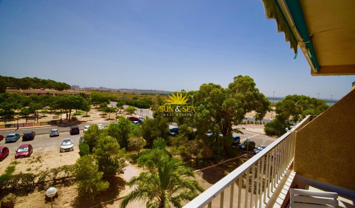 Alquiler a largo plazo - Apartamento - Guardamar del Segura - Pinomar