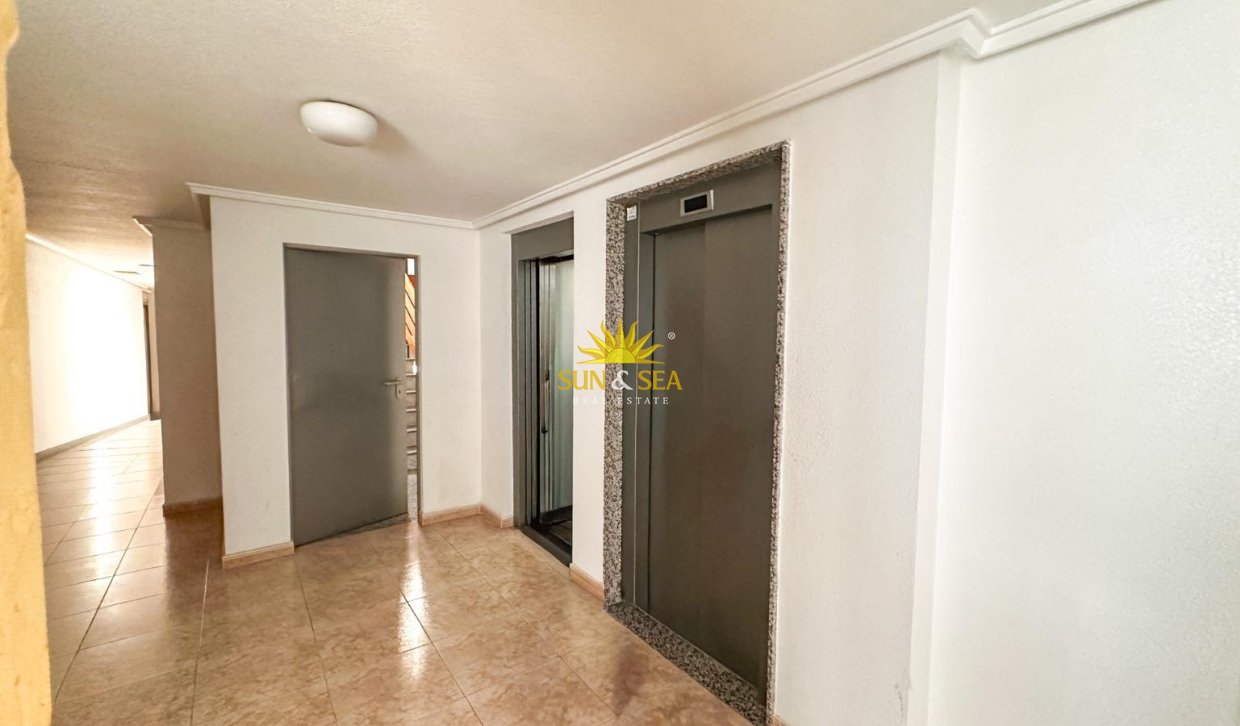 Revente - Appartement - Torrevieja - torrevieja