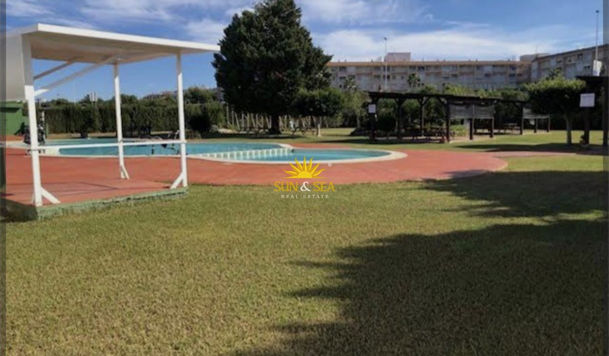 Alquiler a largo plazo - Bungalow - Torrevieja - torrevieja