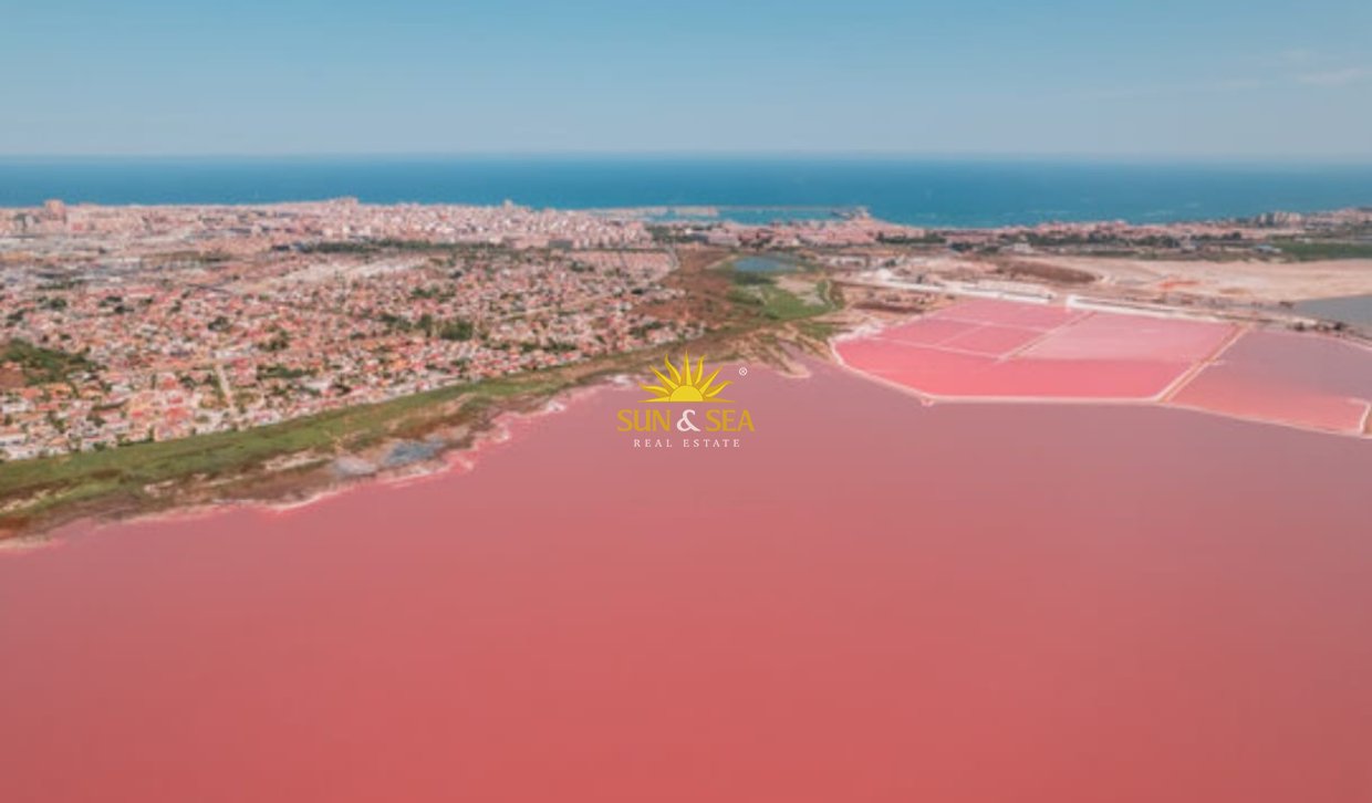 Alquiler a largo plazo - Bungalow - Torrevieja - torrevieja