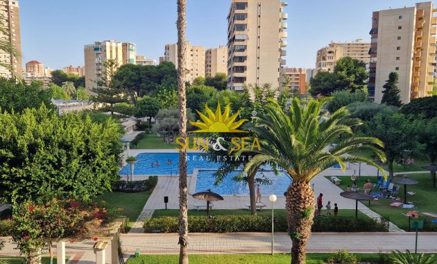 Kurzzeit-Vermietung - Wohnung - Alicante - Playa San Juan