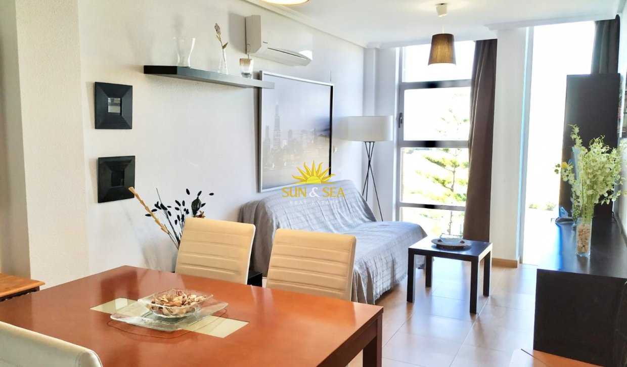 Alquiler a largo plazo - Apartamento - Torrevieja - Playa del Cura