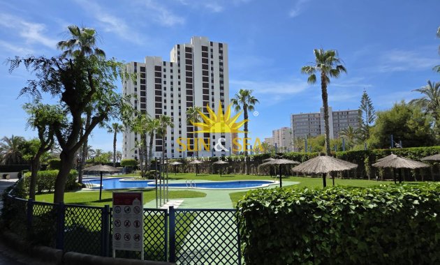 Langfristige Vermietung - Penthouse - San Juan Playa - San Juan de Alicante