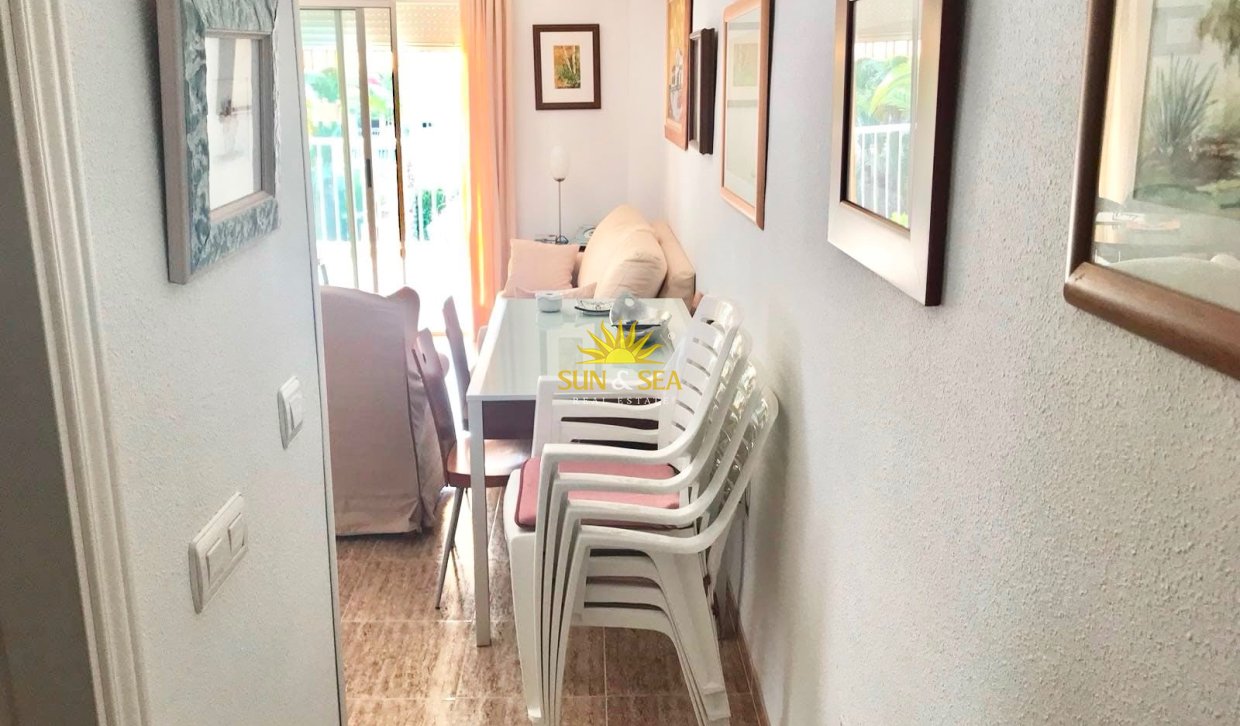 Winter rental - Apartment - Cartagena - Isla Plana