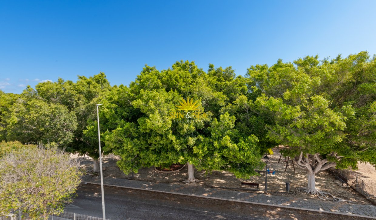 Nouvelle construction - Villa - Mil Palmeras