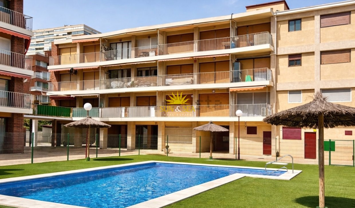 Зимняя аренда - Apartment - San Juan Playa - San Juan de Alicante
