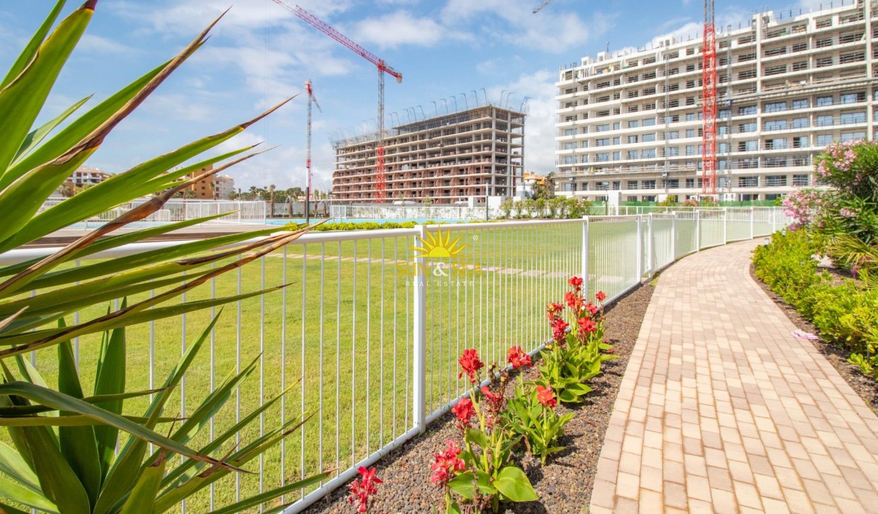 Reventa - Apartamento - Torrevieja - Punta prima