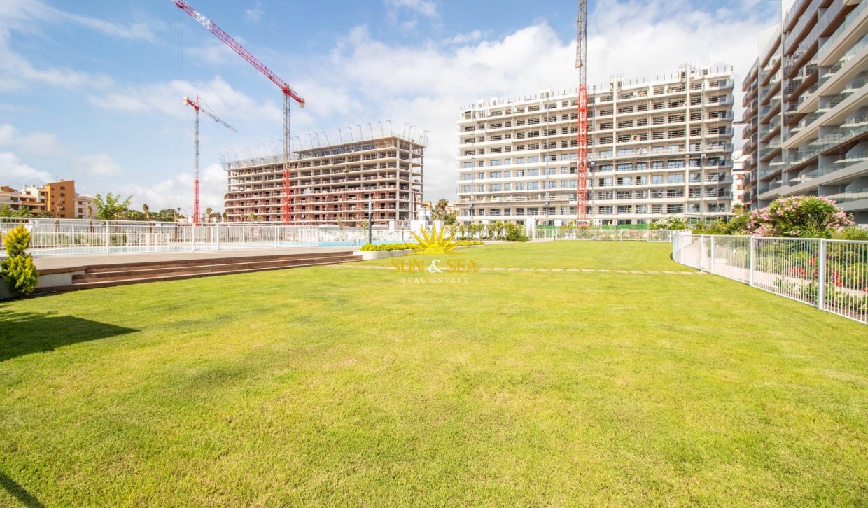 Reventa - Apartamento - Torrevieja - Punta prima
