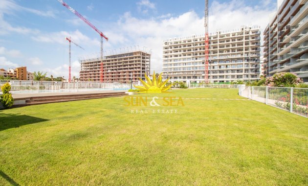 Reventa - Apartamento - Torrevieja - Punta prima