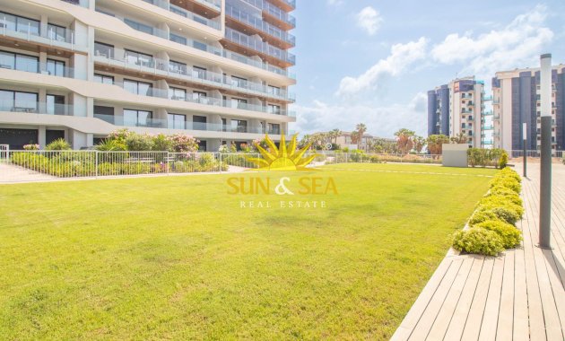 Reventa - Apartamento - Torrevieja - Punta prima