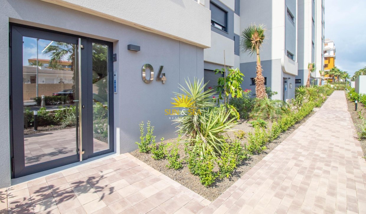 Reventa - Apartamento - Torrevieja - Punta prima