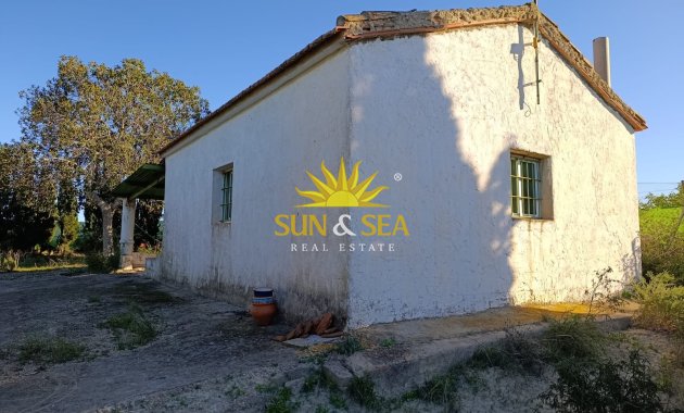 Resale - Finca -  - San Miguel de Salinas