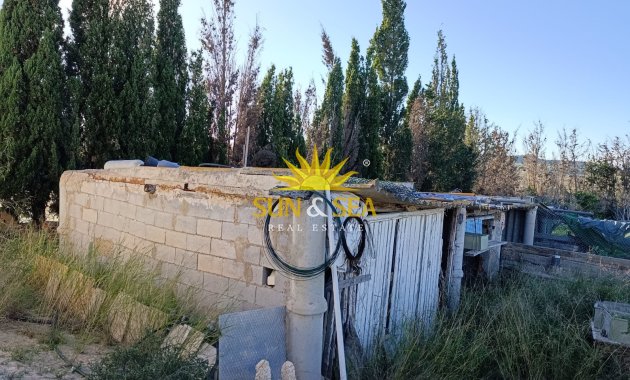 Resale - Finca -  - San Miguel de Salinas