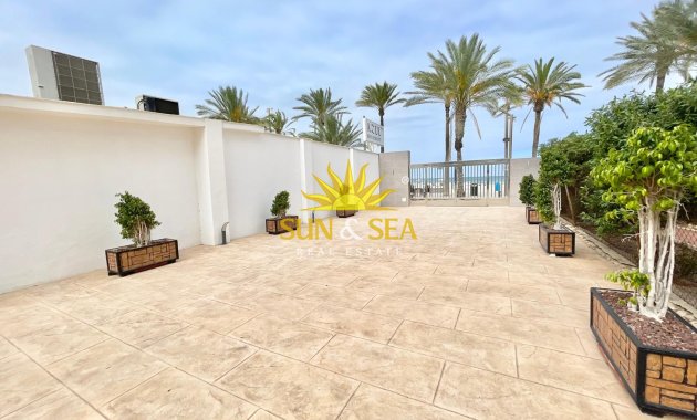 Зимняя аренда - Apartment - San Juan Playa - San Juan de Alicante