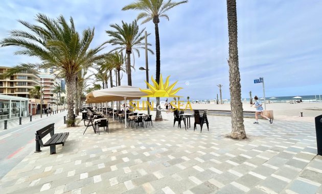 Зимняя аренда - Apartment - San Juan Playa - San Juan de Alicante