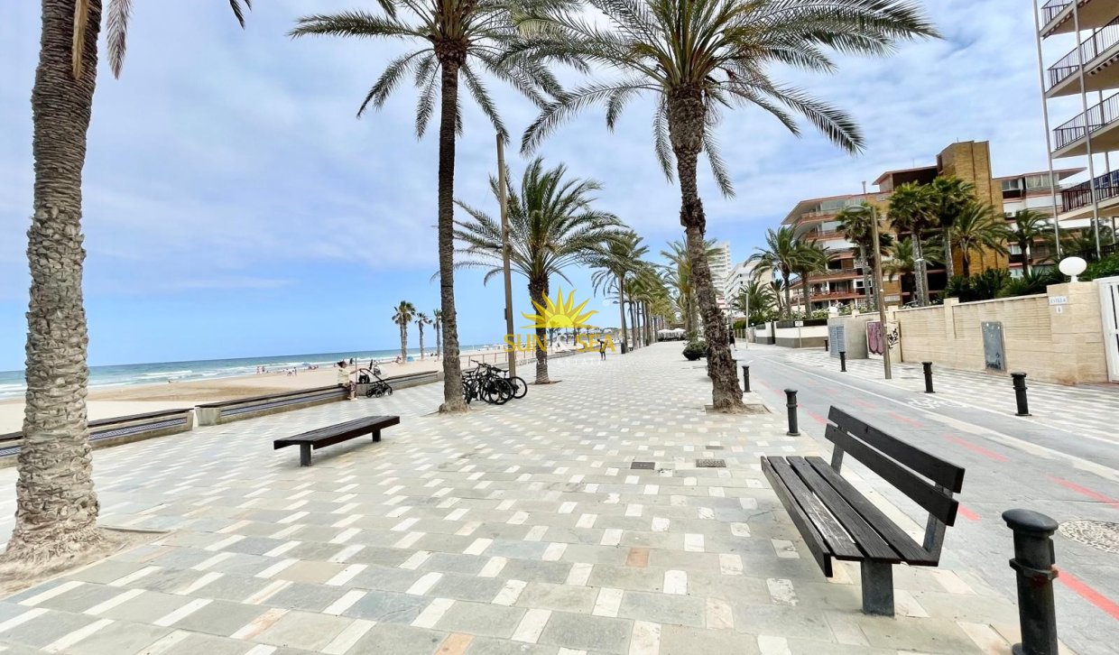 Зимняя аренда - Apartment - San Juan Playa - San Juan de Alicante