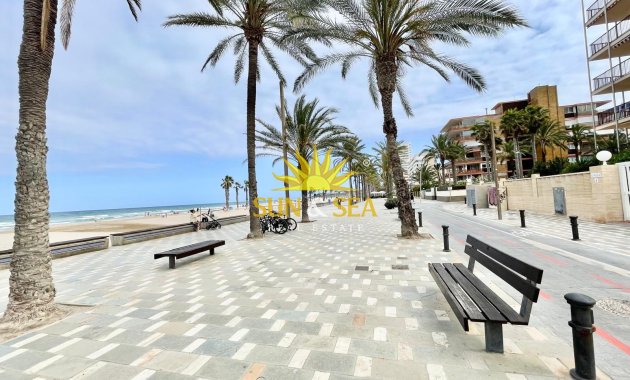 Зимняя аренда - Apartment - San Juan Playa - San Juan de Alicante
