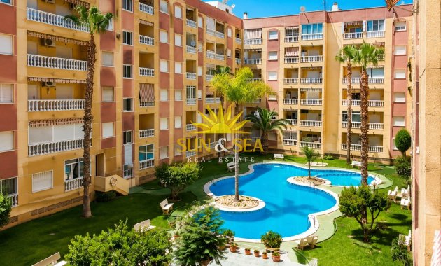 Revente - Studio apartment - Torrevieja - Acequion