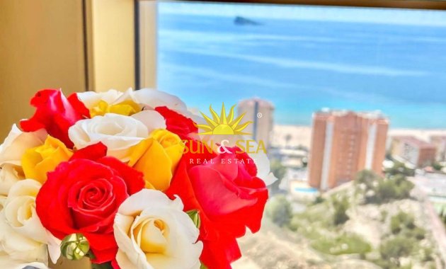 Wiederverkauf - Wohnung -  - Benidorm