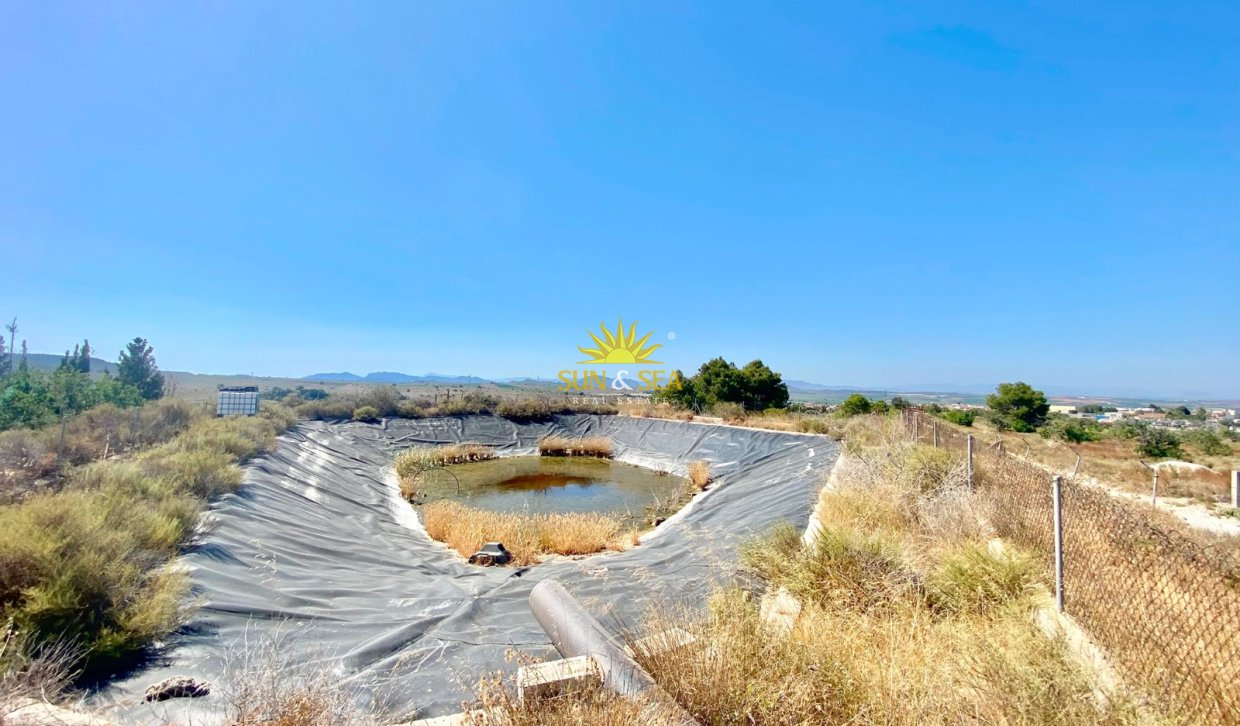 Reventa - Finca -  - San Miguel de Salinas