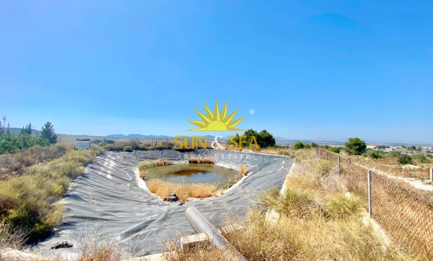 Reventa - Finca -  - San Miguel de Salinas