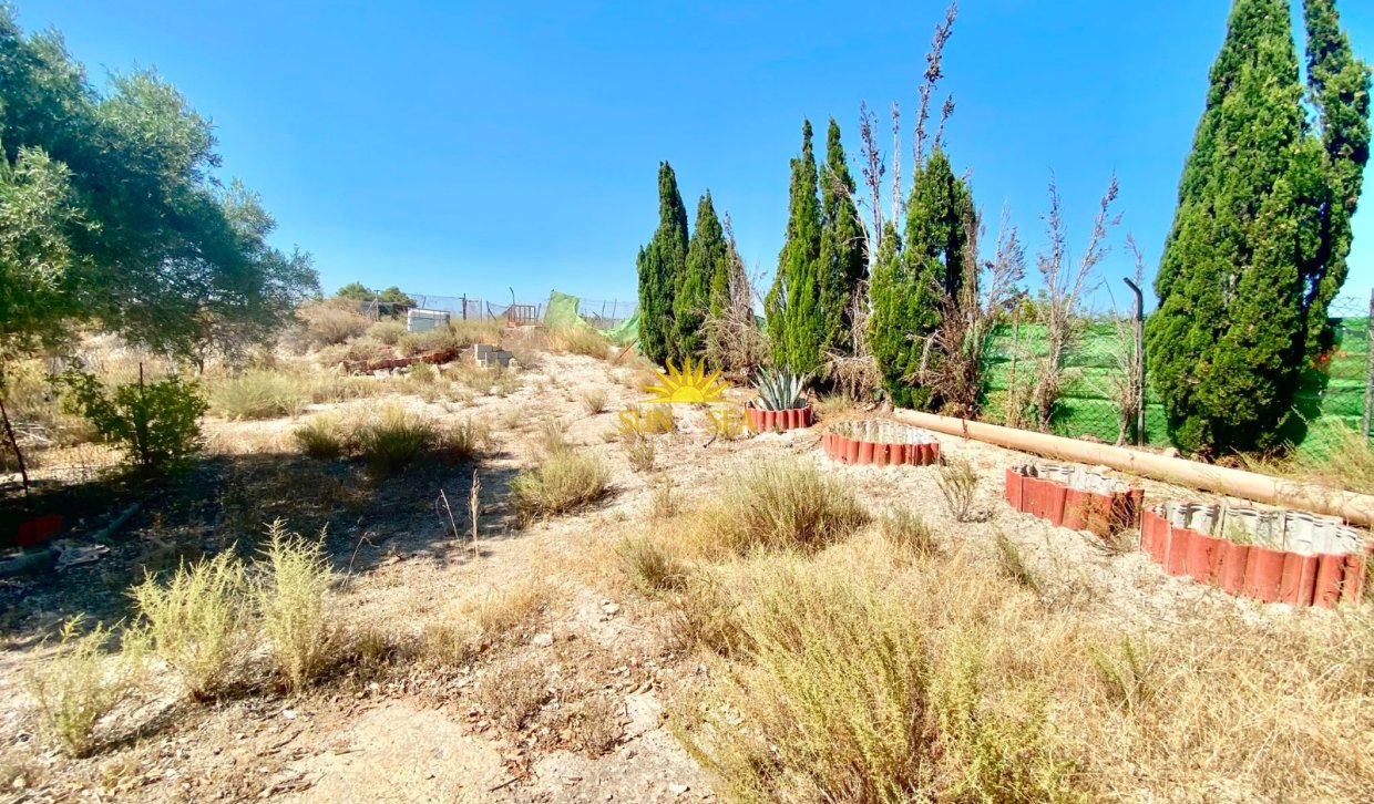 Reventa - Finca -  - San Miguel de Salinas
