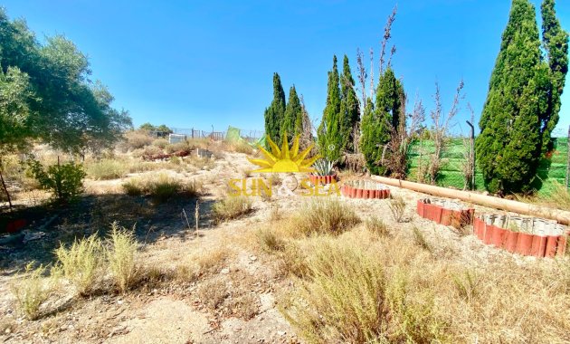 Reventa - Finca -  - San Miguel de Salinas