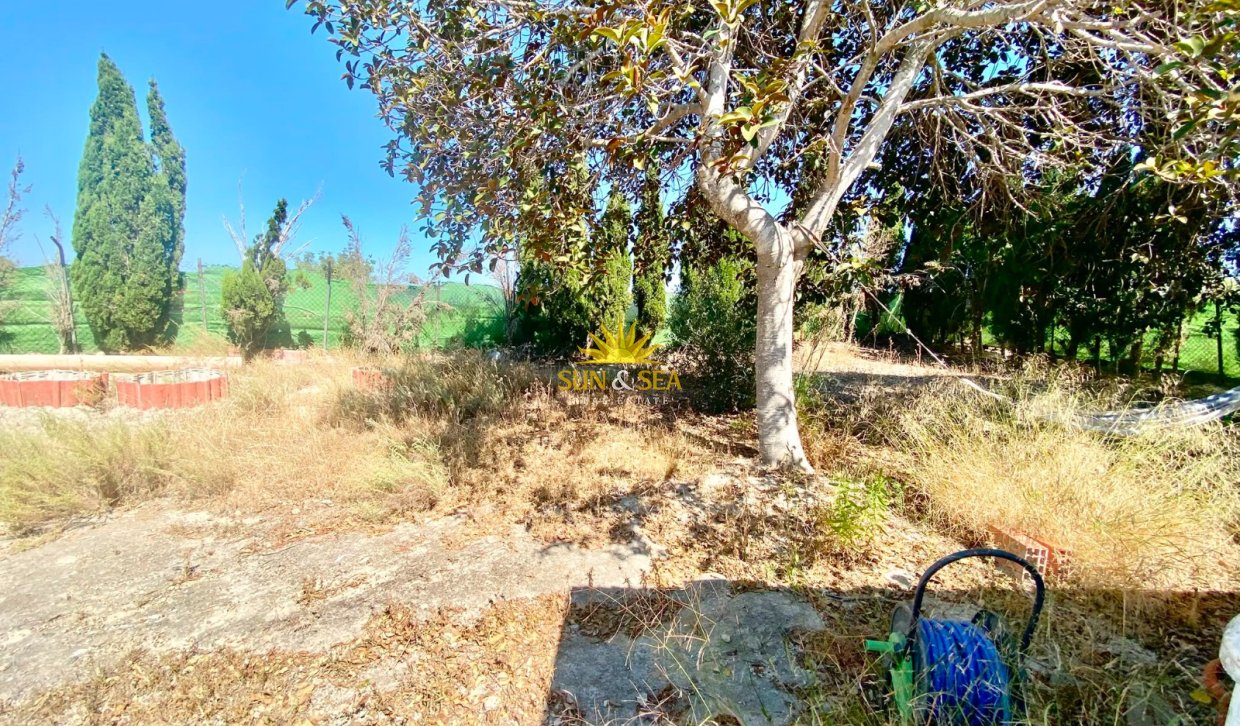Reventa - Finca -  - San Miguel de Salinas
