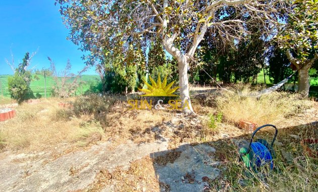 Reventa - Finca -  - San Miguel de Salinas