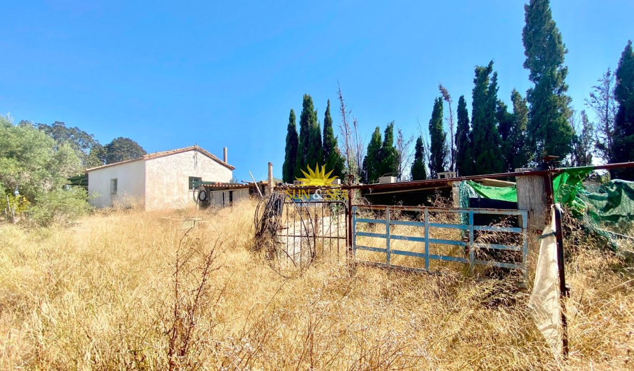Reventa - Finca -  - San Miguel de Salinas