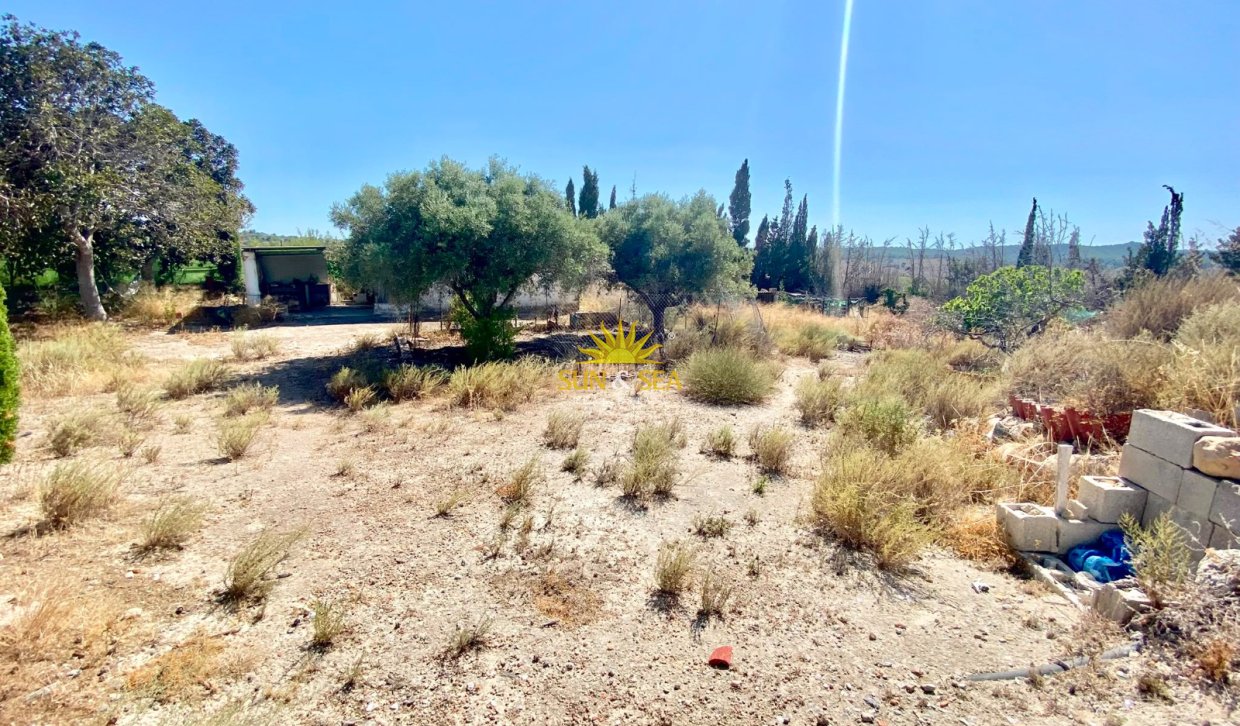 Reventa - Finca -  - San Miguel de Salinas